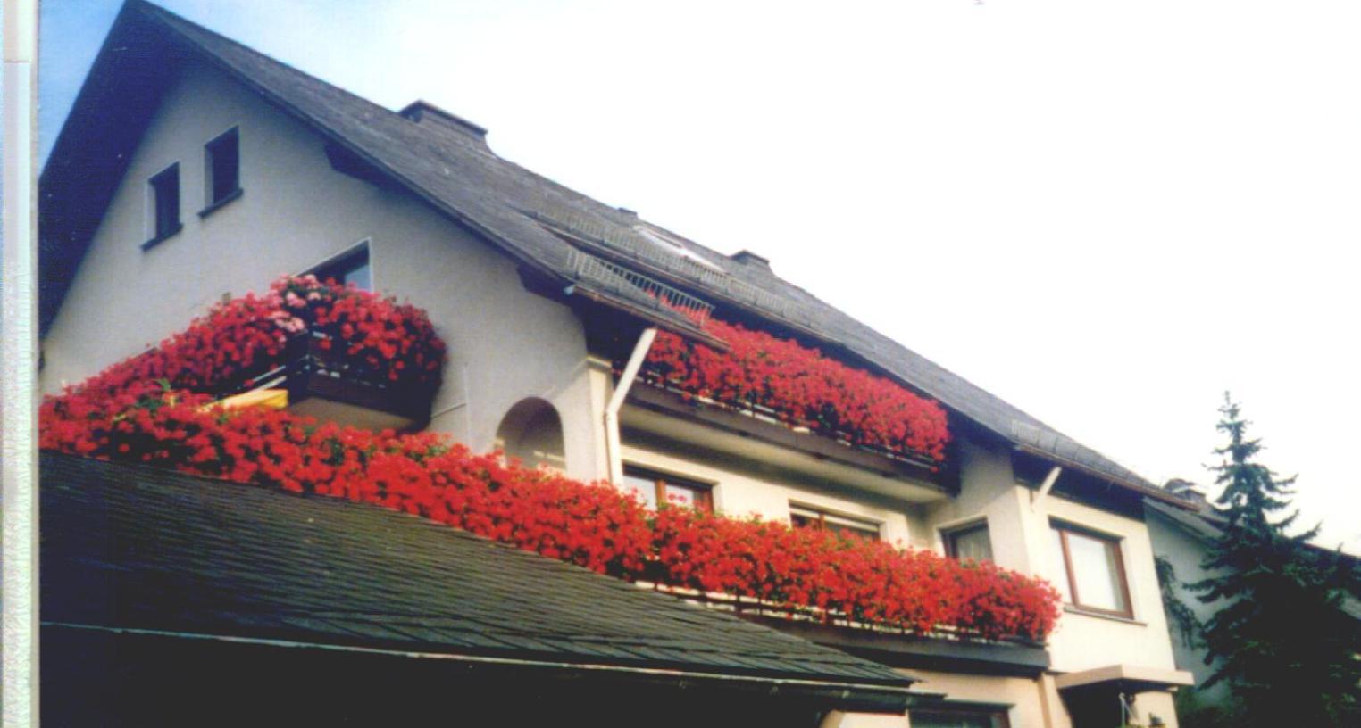 فندق Haus Hubertus وينتربرغ المظهر الخارجي الصورة